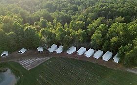 The Fields Of Michigan